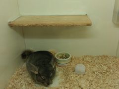 -龙猫仔乐园(惠福东路店)