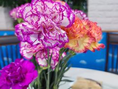 -来之顺海鲜菜馆·青岛菜·始于1993(栈桥店)