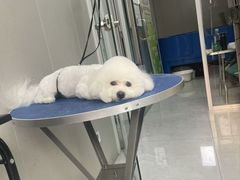 -心仪动物医院·牙专科·肿瘤·心脏科(西客站院)