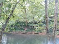 -阿哈湖国家湿地公园
