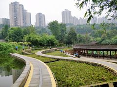 -龙头寺公园