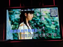 -Z-PARTY KTV(金太湖店)
