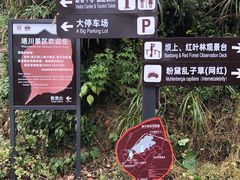 -塔川景区