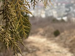 -红光山