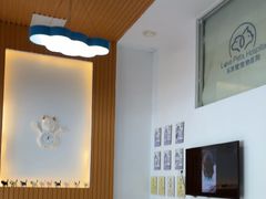 -乐派堂宠物医院·猫友好· 心脏科(东街店)