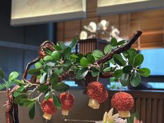 -唐猫庭院·千年陕菜(赛格国际购物中心店)