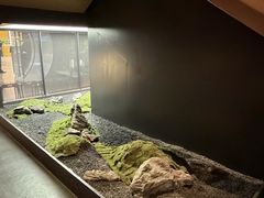 -匠和风精致料理(祥禾天地店)