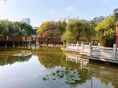 -深圳国际园林花卉博览园