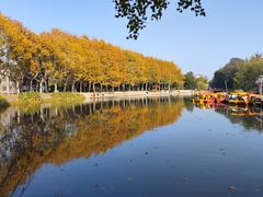 -泰州凤城河风景区-泰山公园