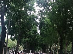 -人民防洪胜利纪念塔