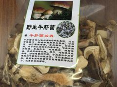 -蘑统田下·野生菌火锅