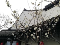 -南京市民俗博物馆(甘熙故居)