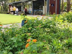 -昆山城市生态森林公园