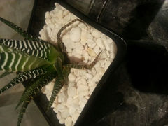 android_upload_pic-广州W酒店
