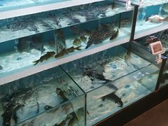 -盒马X会员店(王府井奥莱UP TOWN店)