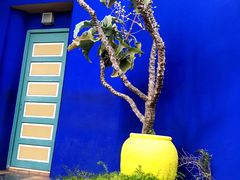 -马洛雷勒花园