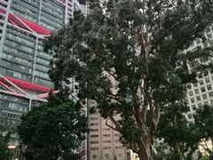 -终审法院