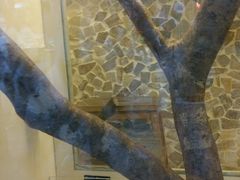 -龙猫仔乐园(惠福东路店)