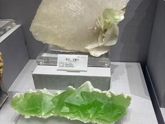 -湖南省地质博物馆