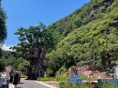 -爱情山风景区