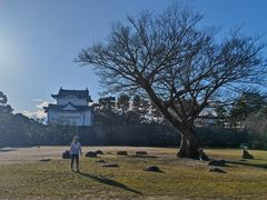 -名古屋城