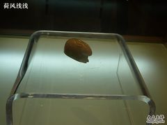 -浙江省博物馆(孤山馆区)