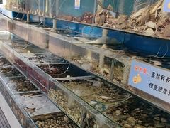 -仙螺岛海鲜自助餐厅(总店)
