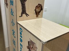 -北京观赏动物医院·24小时大型综合·猫专科·异宠专科