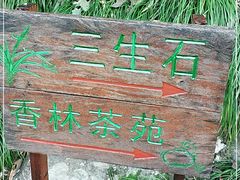 -杭州西湖风景名胜区-三生石