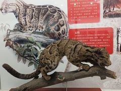 -大连自然博物馆