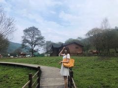 -大水川景区