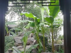 -眞宗·椰汁是大王(小娄巷店)