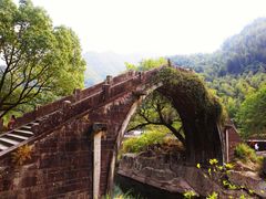 -鹿亭中村
