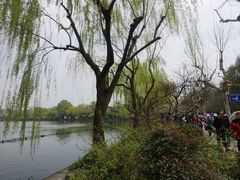 -西湖外事游船(花港观鱼码头)