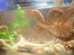 -V-ONE西雅图海鲜自助餐厅(仓山万达广场店)