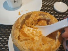 酥皮焗羊奶-新兴·金羊座·粤菜点心(乐峰店)