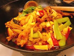 湘西霸王蛙-望湘园·湖南菜(宏伊店)