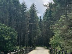 -石棉县孟获城