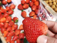 -乐乐鲜果(解放南路店)