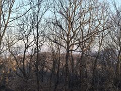 -南京市无想山景区