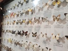 -吉林省自然博物馆