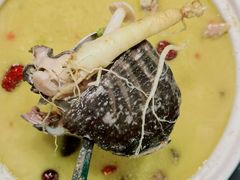 -金龙·打边炉(南京西路店)