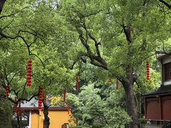 -十里琅珰