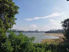 -立新湖公园