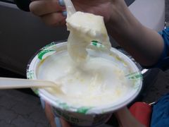 酸奶-德禄酸奶(莫家街店)