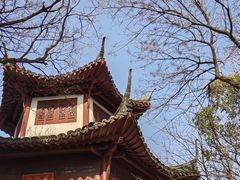 -上海佘山国家森林公园天马山园