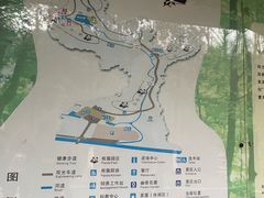 -都江堰中华大熊猫苑
