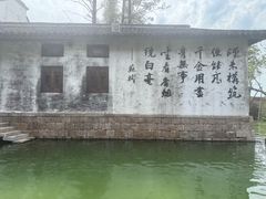 -观潮胜地公园