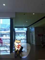 -Hair Code芭曲发型