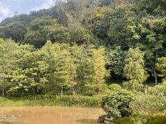 -云溪植物园